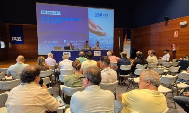 La MAS detecta nuevas irregularidades en los contratos de Giahsa de 2021