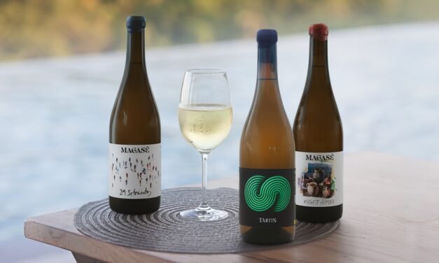 Tres vinos de Bodegas Magasé son calificados como ‘excelentes’ por segundo año consecutivo
