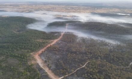 El Infoca logra cerrar el perímetro del incendio de Aroche