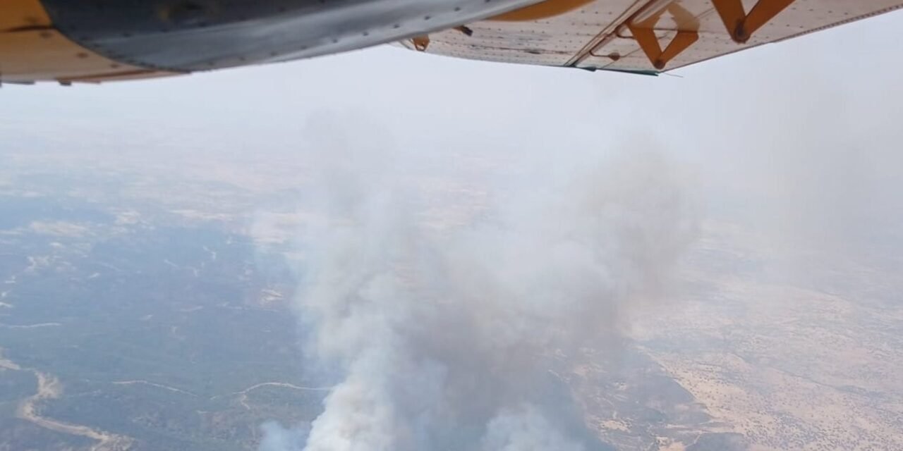 Efectivos portugueses se suman a las labores de extinción del incendio de Aroche