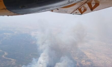 Efectivos portugueses se suman a las labores de extinción del incendio de Aroche