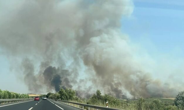 Un incendio declarado en Bonares afecta a la A-49