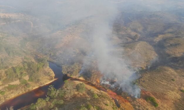 El Infoca lucha contra un incendio en Villanueva de los Castillejos