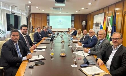 El Puerto de Huelva finaliza su doble rampa Ro-ro en el Muelle Sur