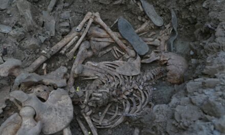 Hallan cinco nuevas fosas comunes en el cementerio de Zufre