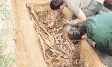 821 cadáveres en dos meses: la magnitud de la represión en Huelva que ocultó el franquismo