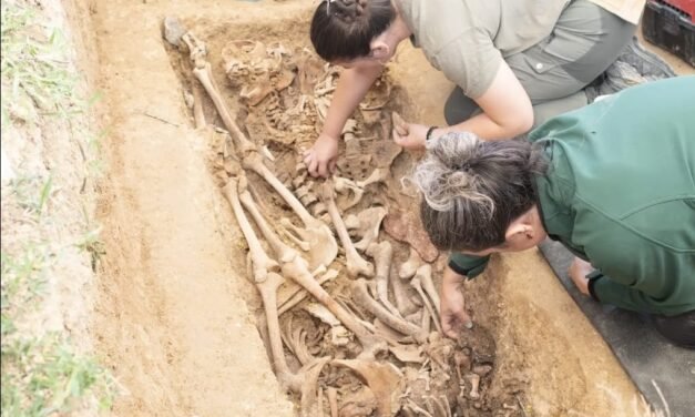 821 cadáveres en dos meses: la magnitud de la represión en Huelva que ocultó el franquismo