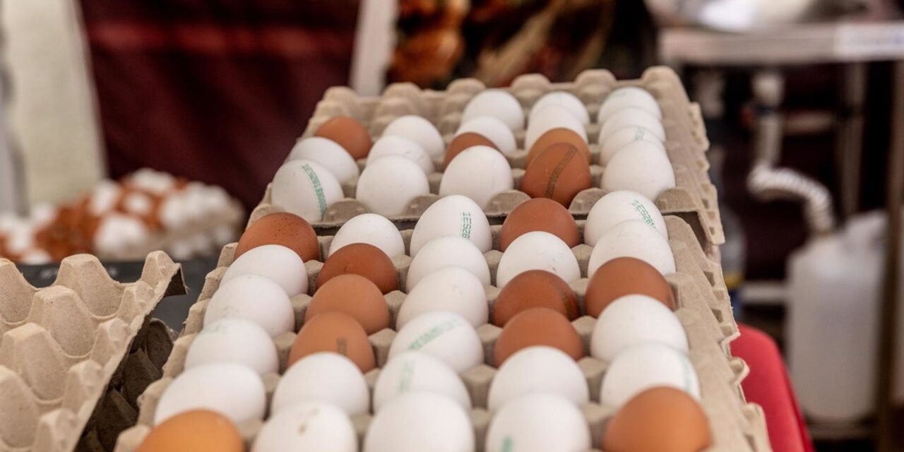 Hong Kong suspende las importaciones de carne y huevos procedentes de Huelva