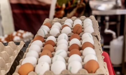 Hong Kong suspende las importaciones de carne y huevos procedentes de Huelva