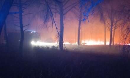 El Infoca lucha contra un incendio en Gibraleón