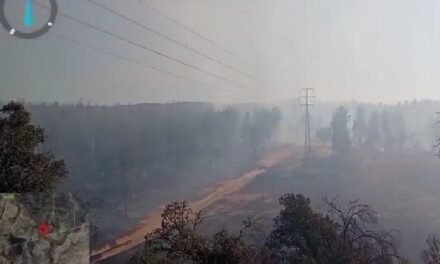 El Infoca lucha contra un incendio en Zalamea