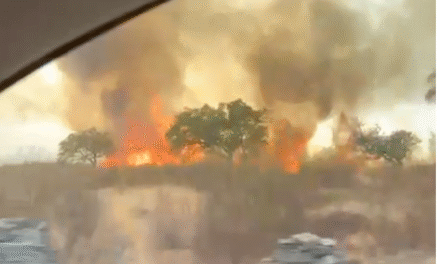 Un incendio en Calañas moviliza decenas de efectivos y seis medios aéreos para luchar contra las llamas