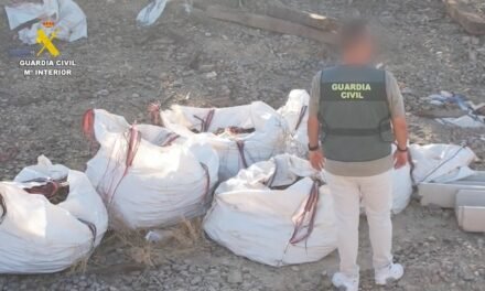 Roban 20 toneladas de material ferroviario de la Huelva-Zafra