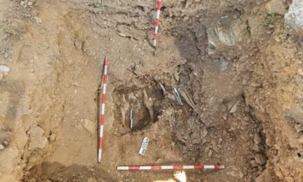 La memoria que nos une: aportar ADN para identificar a los represaliados en Valverde