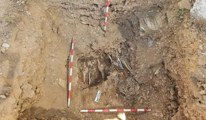 La memoria que nos une: aportar ADN para identificar a los represaliados en Valverde