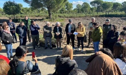 El OCIb dedica una semana a Argentina con música, artes visuales y Bosques de Poesía