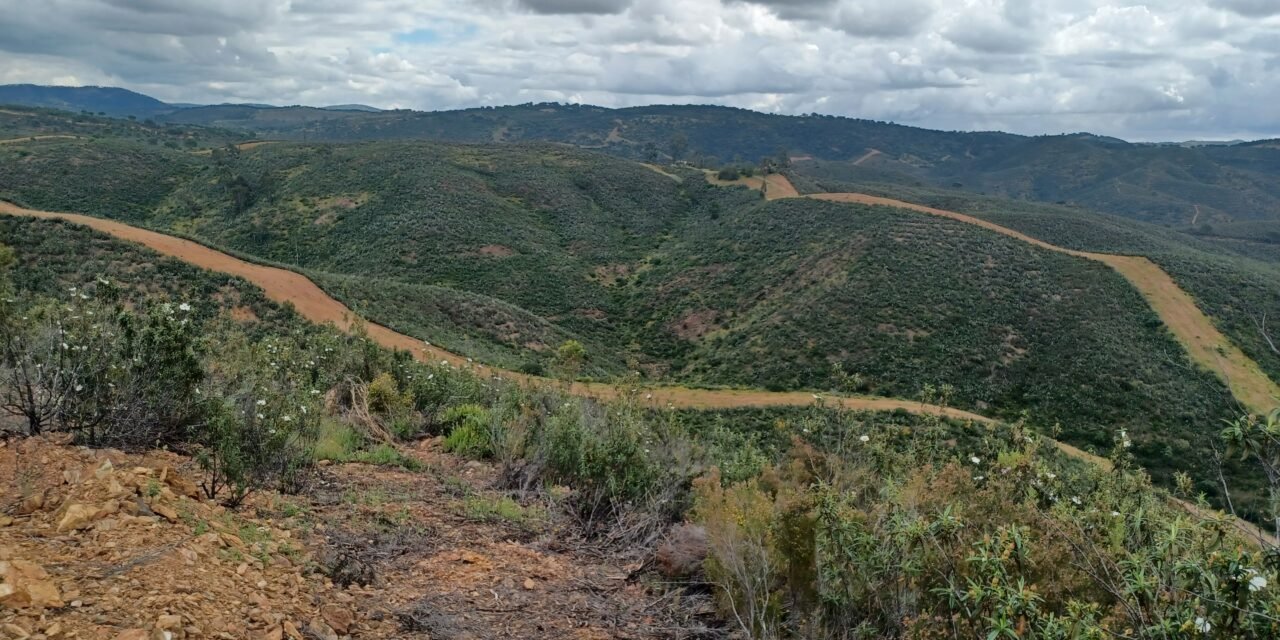 La Diputación ofrece el aprovechamiento cinegético de 10 fincas en Berrocal, El Campillo y Nerva