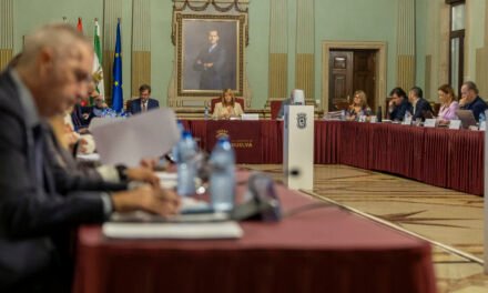 Nuevo avance hacia el futuro Parque Arqueológico de Huelva