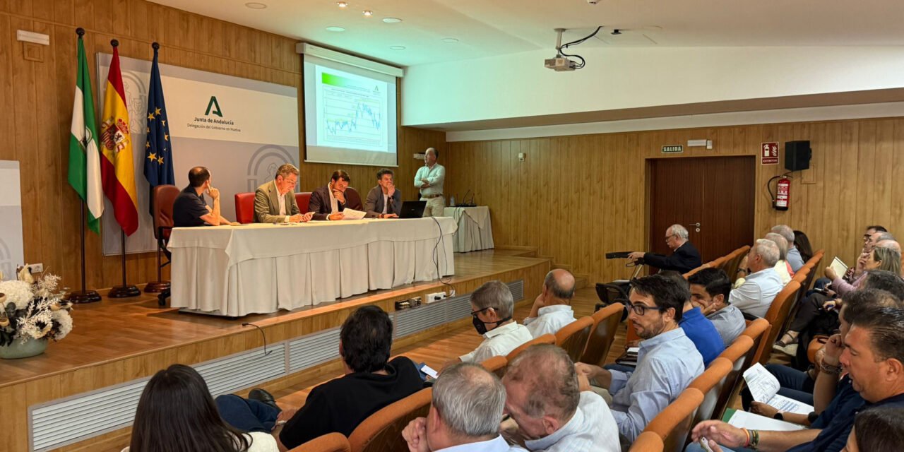 Huelva Riega pide “mejoras contundentes” antes de llegar a escasez moderada