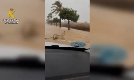 El temporal del miércoles dejó atrapadas a dos personas en un coche y una finca