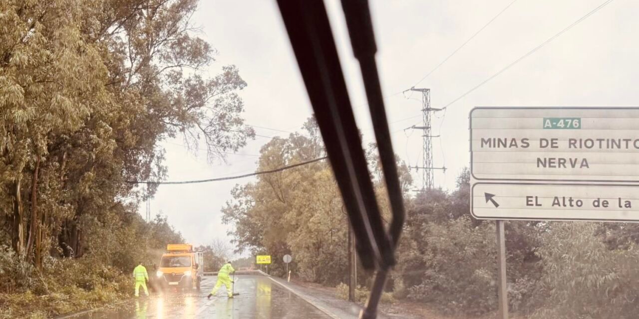 La caída de un árbol dificulta el tráfico entre Riotinto y El Alto de la Mesa