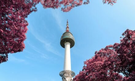 Guionistas de nuestra vida