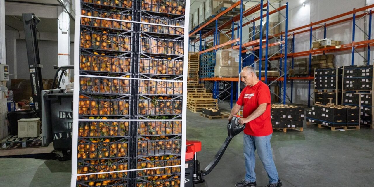 La Gran Recogida 2025 cierra con un descenso del 20%