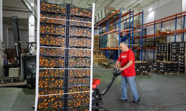La Gran Recogida 2025 cierra con un descenso del 20%