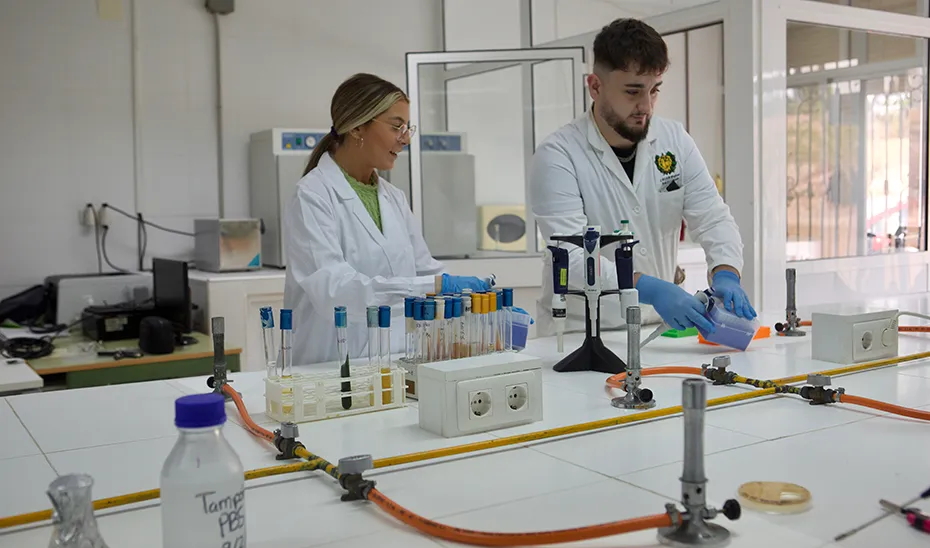 El CSIF denuncia el auge de la FP privada en Huelva