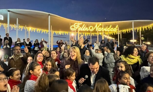 El Puerto de Huelva ilumina cinco kilómetros de la ciudad con más de 450.000 luces tipo led