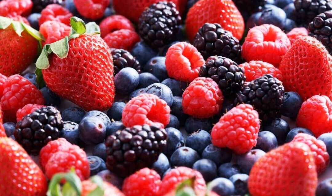Freshuelva prevé un ligero incremento de la superficie de berries en 2026
