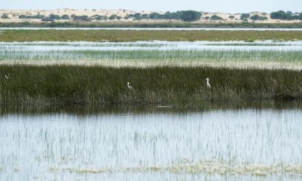 La Junta exige la retirada del deslinde de Doñana
