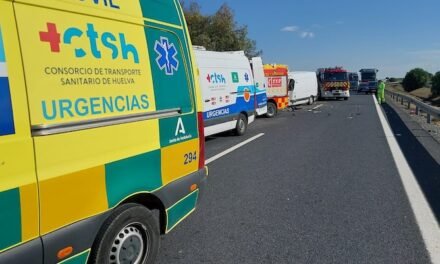 Muere un conductor tras chocar contra un pino en Aljaraque