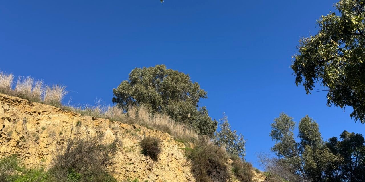 El Ayuntamiento asegura la conservación del patrimonio arqueológico del Cabezo de la Joya