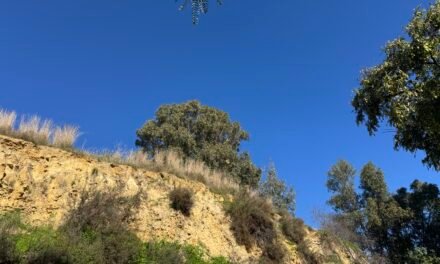 El Ayuntamiento asegura la conservación del patrimonio arqueológico del Cabezo de la Joya