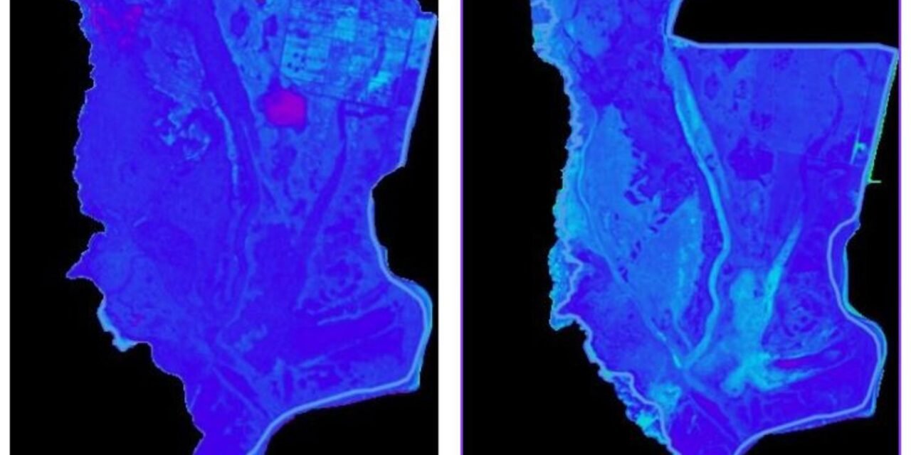 Una investigación alerta de que la marisma de Doñana desaparecerá en 61 años