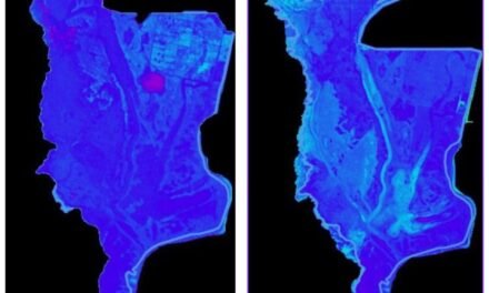 Una investigación alerta de que la marisma de Doñana desaparecerá en 61 años
