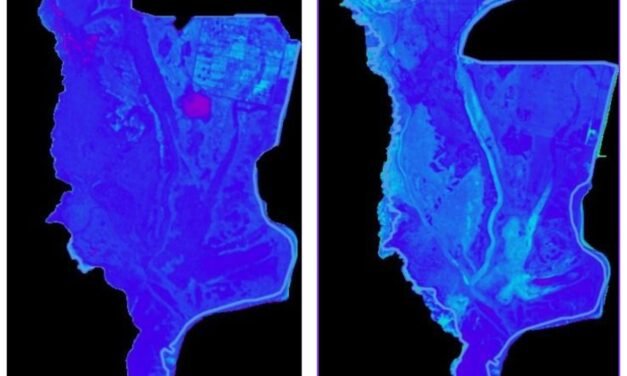 Una investigación alerta de que la marisma de Doñana desaparecerá en 61 años