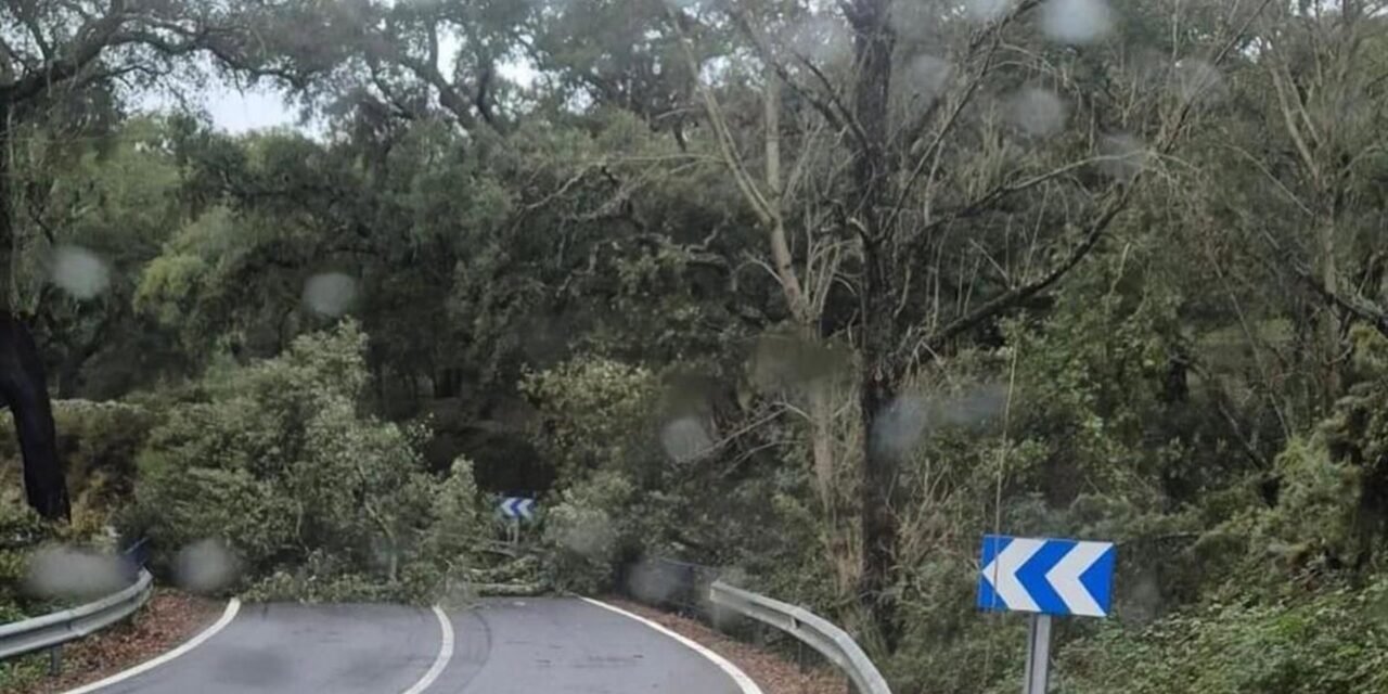 La Diputación actúa en una veintena de carreteras de la provincia por las incidencias del temporal