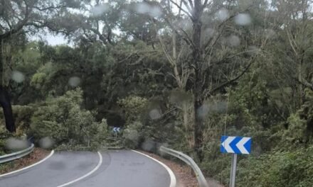 La Diputación actúa en una veintena de carreteras de la provincia por las incidencias del temporal