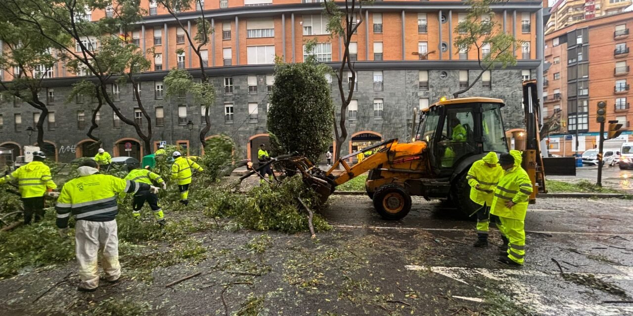 El Ayuntamiento atiende más de 150 de incidencias por la borrasca Kristin