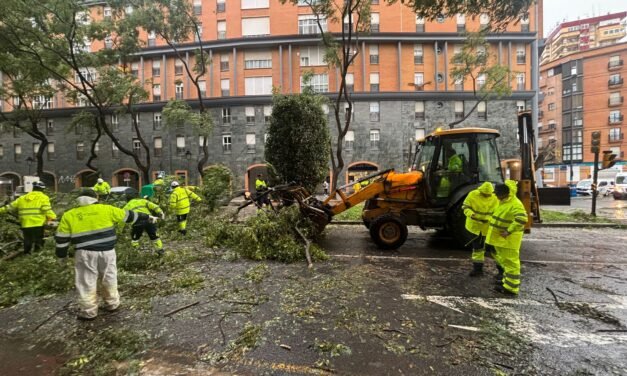 El Ayuntamiento atiende más de 150 de incidencias por la borrasca Kristin