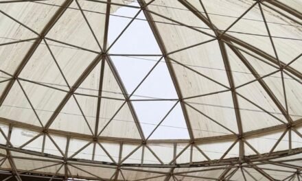 El viento desprende parte de la cúpula de la Facultad de Empresariales