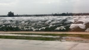 Daños en el temporal