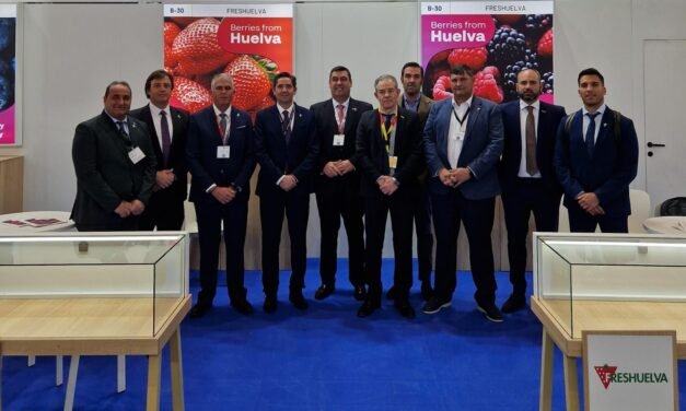 Freshuelva promocionará la calidad de los frutos rojos de Huelva en Fruit Logística 2026