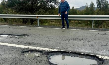 IU llevará al Parlamento el «peligroso estado» de la carretera entre Zalamea y Calañas