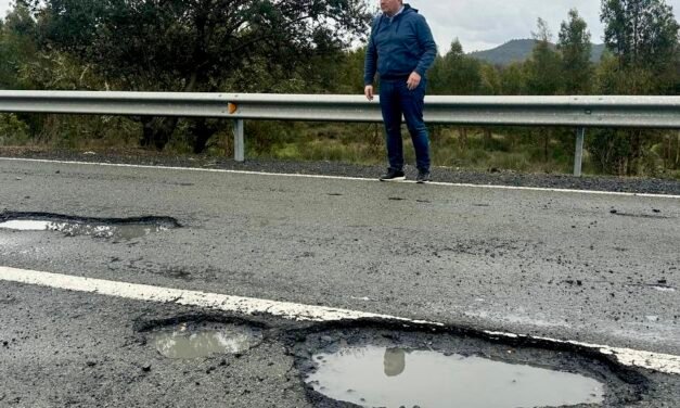 IU llevará al Parlamento el «peligroso estado» de la carretera entre Zalamea y Calañas