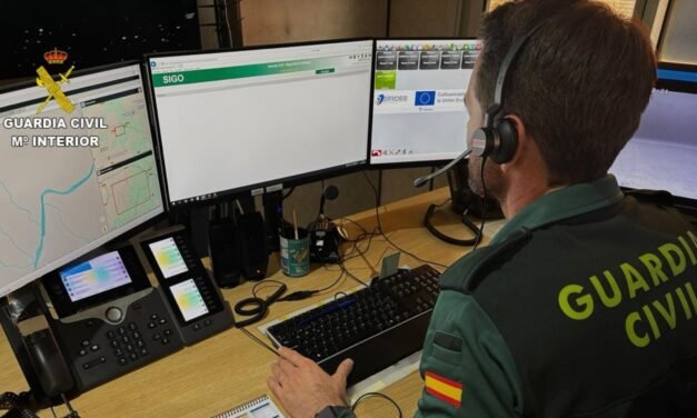 Identificado al autor de un falso aviso de emergencia en El Rocío