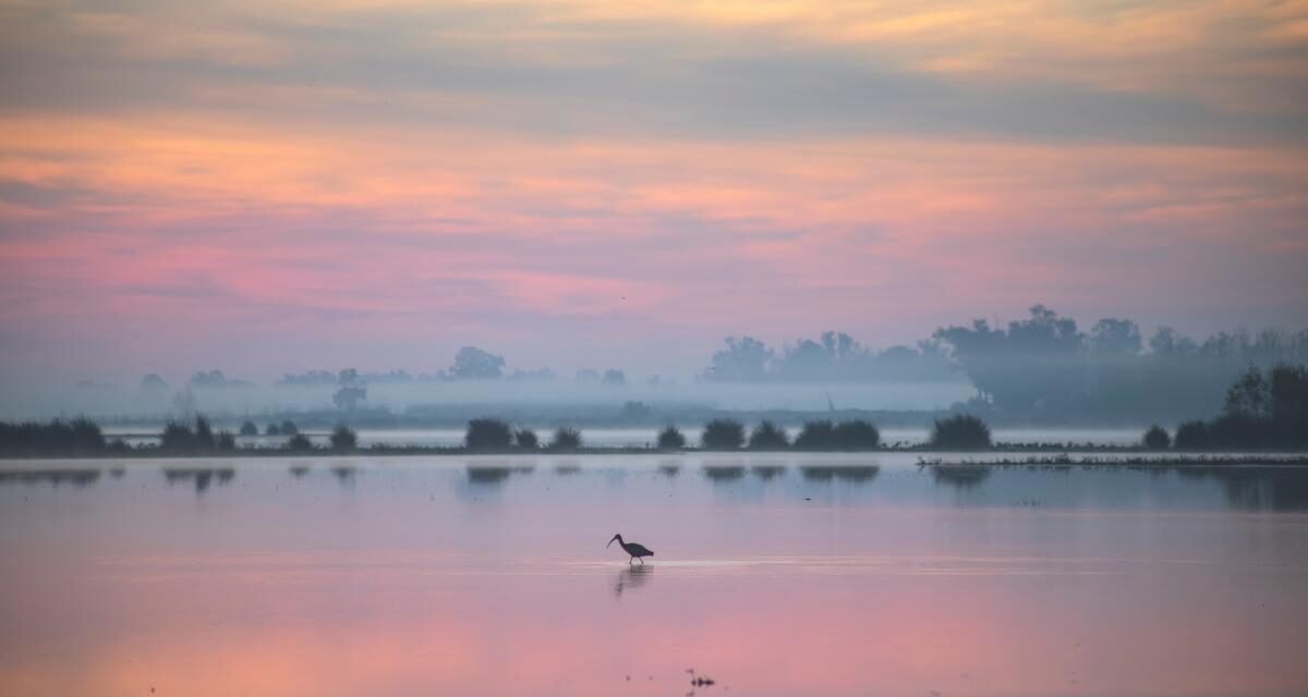Huelva Riega recuerda que la mejora del acuífero de Doñana pasa por cumplir la Ley del Trasvase