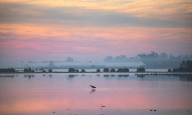 Huelva Riega recuerda que la mejora del acuífero de Doñana pasa por cumplir la Ley del Trasvase